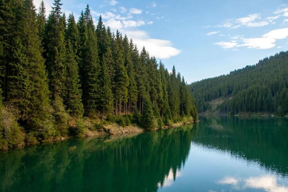 Camping Aviator, Numai Teren, Campare Pentru Rulote Autorulote Personale, Campingul Nu Are Rulote !!! Buşteni Exteriör bild
